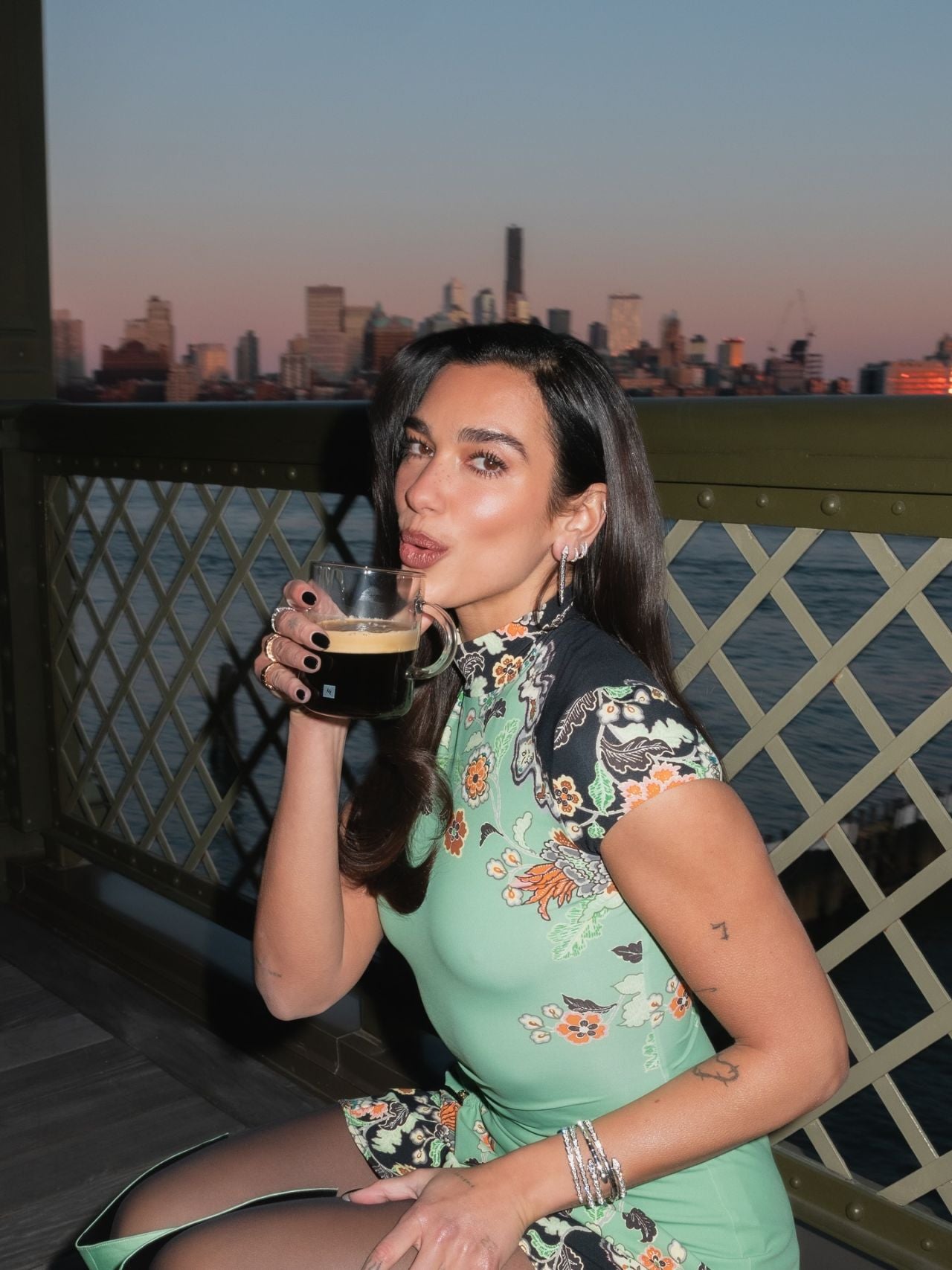 Dua Lipa in Roberto Cavalli Pre-Fall 2026 editorial photoshoot